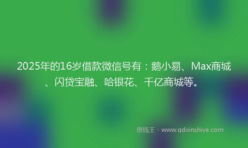 2025年的16岁借款微信号有：鹅小易、Max商城、闪贷宝融、哈银花、千亿商城等。