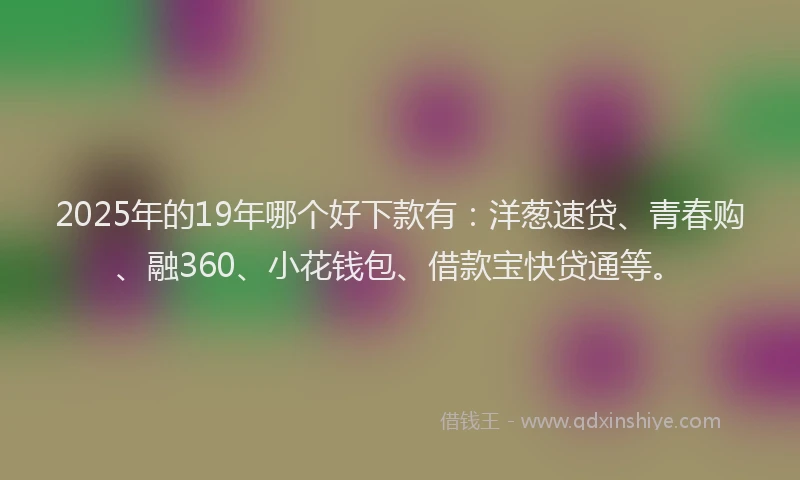 2025年的19年哪个好下款有：洋葱速贷、青春购、融360、小花钱包、借款宝快贷通等。