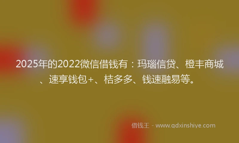 2025年的2022微信借钱有：玛瑙信贷、橙丰商城、速享钱包+、桔多多、钱速融易等。