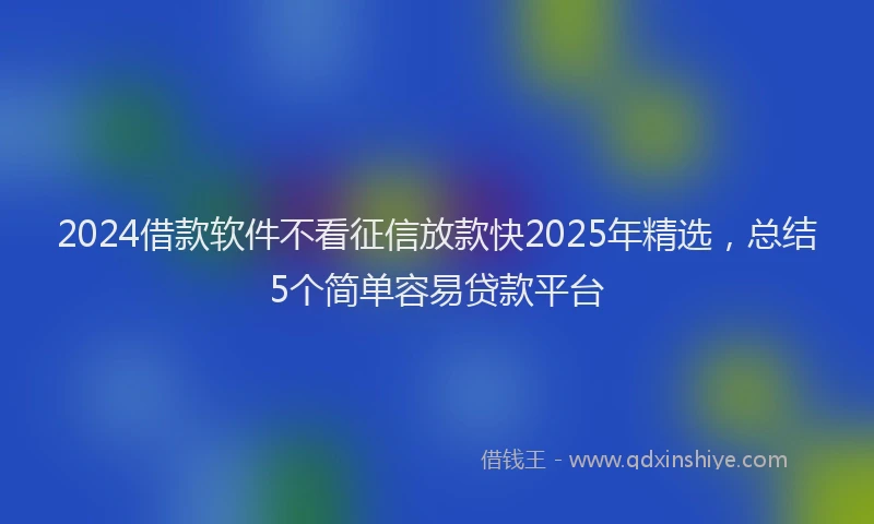 2024借款软件不看征信放款快2025年精选，总结5个简单容易贷款平台