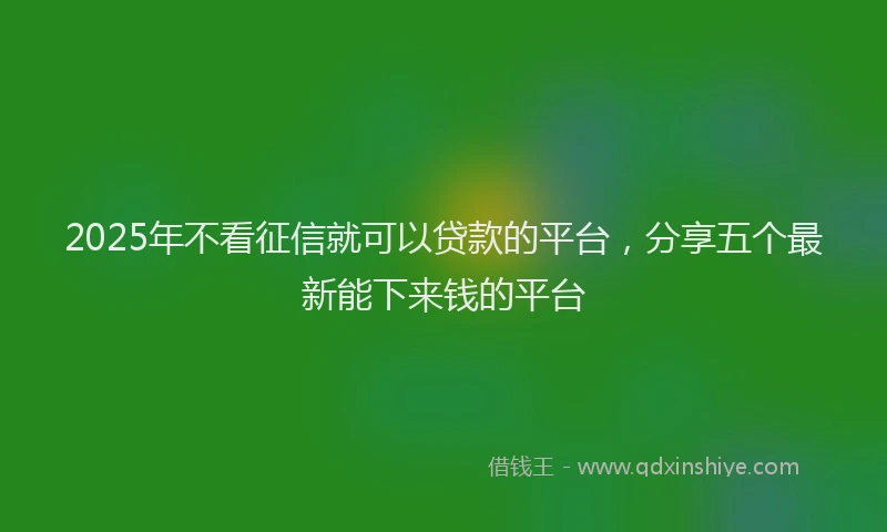 2025年不看征信就可以贷款的平台，分享五个最新能下来钱的平台