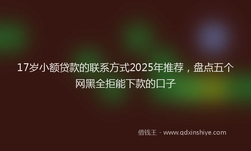 17岁小额贷款的联系方式2025年推荐，盘点五个网黑全拒能下款的口子