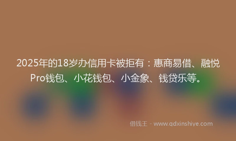 2025年的18岁办信用卡被拒有：惠商易借、融悦Pro钱包、小花钱包、小金象、钱贷乐等。