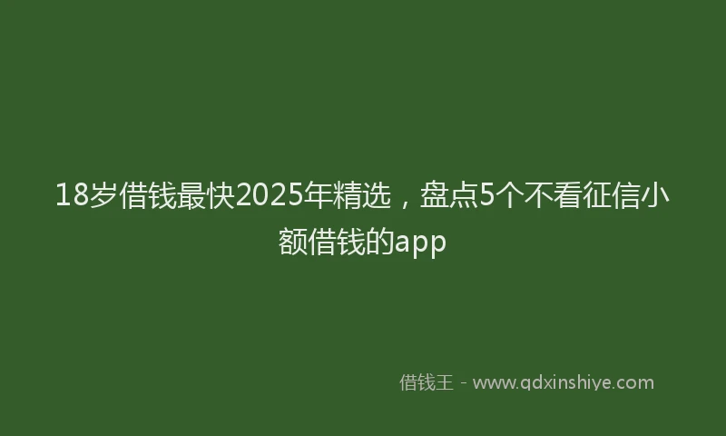 18岁借钱最快2025年精选，盘点5个不看征信小额借钱的app