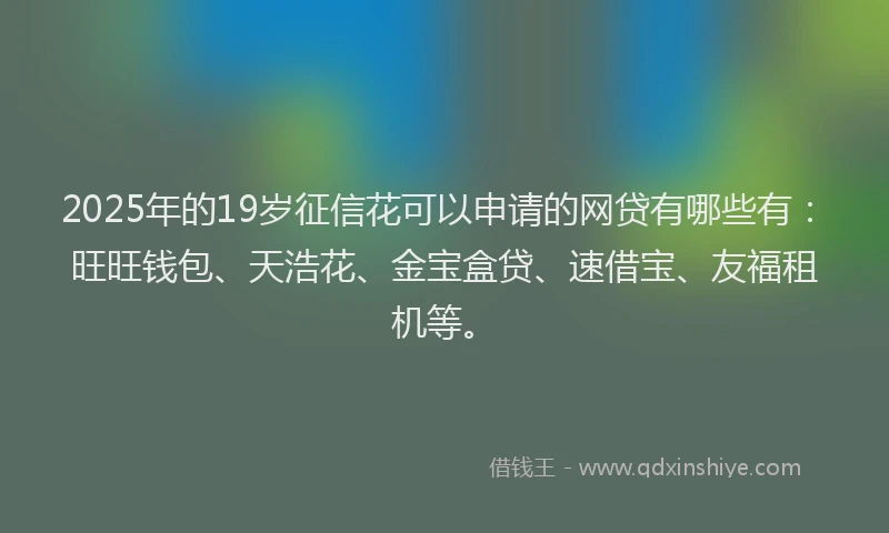 2025年的19岁征信花可以申请的网贷有哪些有：旺旺钱包、天浩花、金宝盒贷、速借宝、友福租机等。