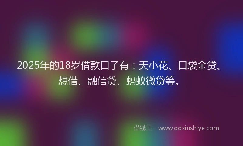 2025年的18岁借款口子有：天小花、口袋金贷、想借、融信贷、蚂蚁微贷等。
