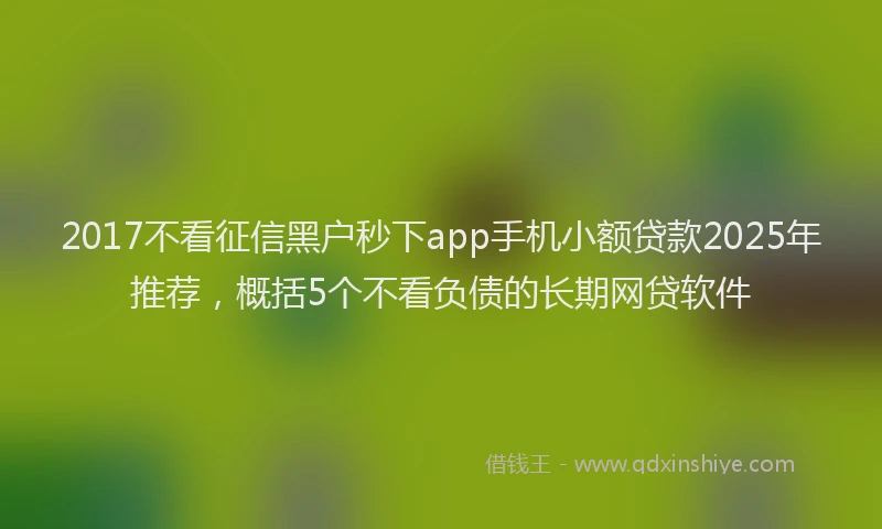 2017不看征信黑户秒下app手机小额贷款2025年推荐，概括5个不看负债的长期网贷软件