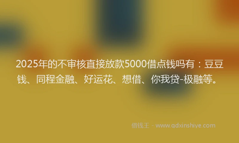 2025年的不审核直接放款5000借点钱吗有：豆豆钱、同程金融、好运花、想借、你我贷-极融等。