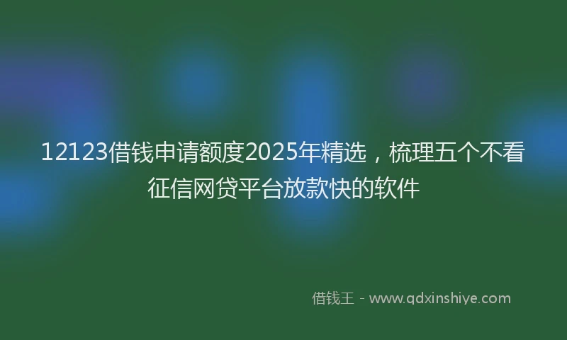 12123借钱申请额度2025年精选，梳理五个不看征信网贷平台放款快的软件