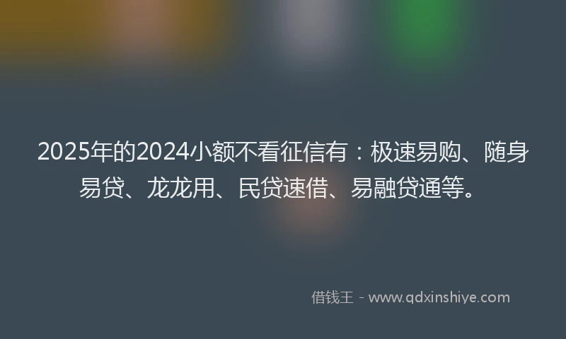 2025年的2024小额不看征信有：极速易购、随身易贷、龙龙用、民贷速借、易融贷通等。