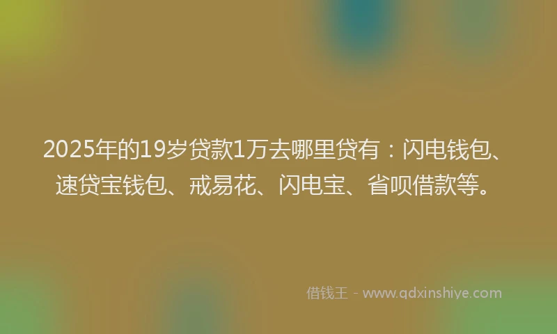 2025年的19岁贷款1万去哪里贷有：闪电钱包、速贷宝钱包、戒易花、闪电宝、省呗借款等。