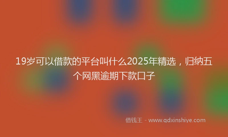 19岁可以借款的平台叫什么2025年精选，归纳五个网黑逾期下款口子