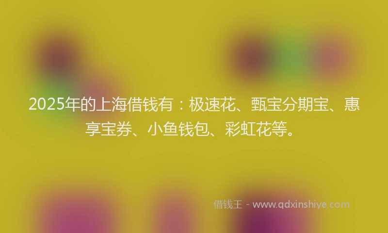 2025年的上海借钱有：极速花、甄宝分期宝、惠享宝券、小鱼钱包、彩虹花等。