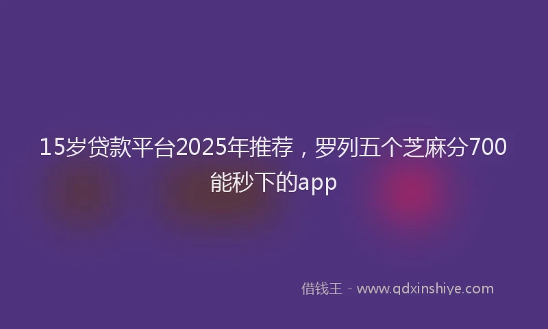 15岁贷款平台2025年推荐，罗列五个芝麻分700能秒下的app