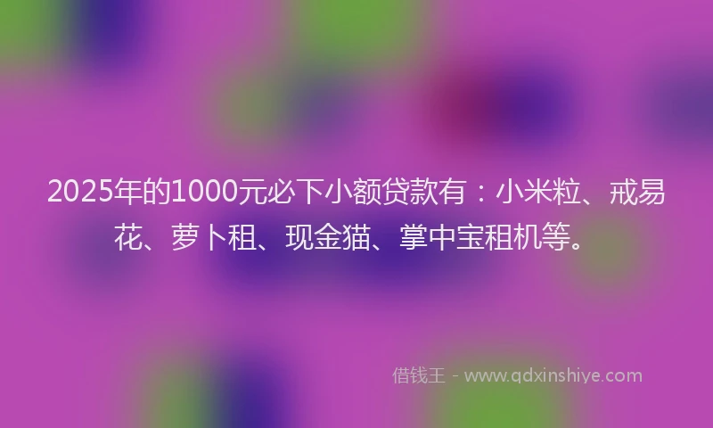 2025年的1000元必下小额贷款有：小米粒、戒易花、萝卜租、现金猫、掌中宝租机等。