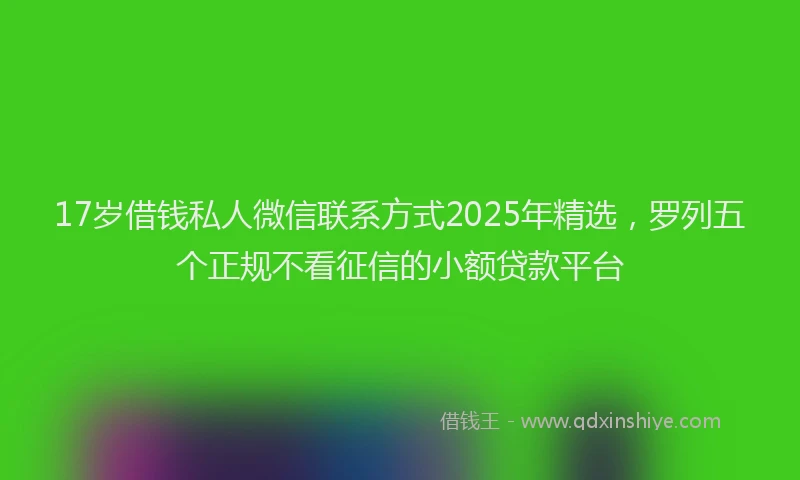17岁借钱私人微信联系方式2025年精选，罗列五个正规不看征信的小额贷款平台