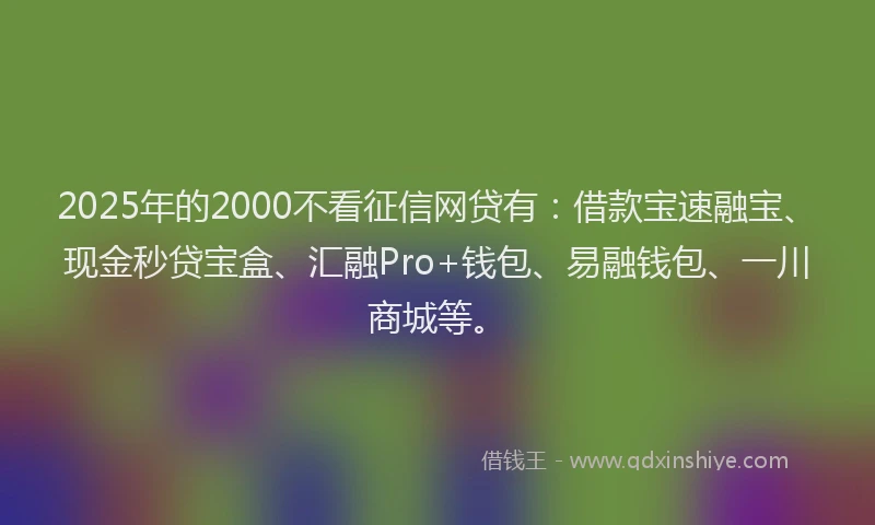 2025年的2000不看征信网贷有：借款宝速融宝、现金秒贷宝盒、汇融Pro+钱包、易融钱包、一川商城等。