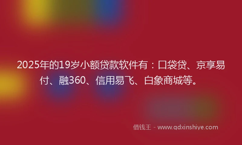 2025年的19岁小额贷款软件有：口袋贷、京享易付、融360、信用易飞、白象商城等。