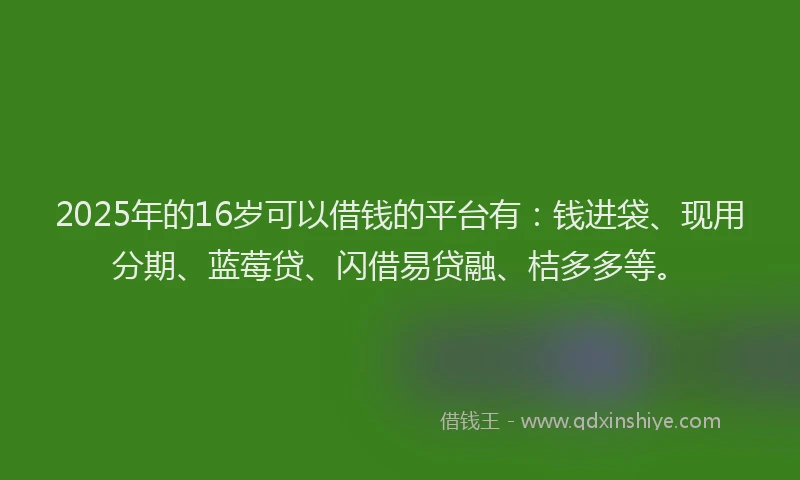 2025年的16岁可以借钱的平台有：钱进袋、现用分期、蓝莓贷、闪借易贷融、桔多多等。