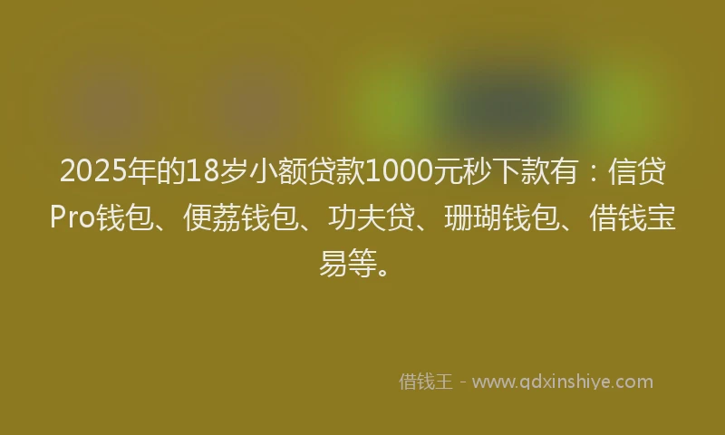 2025年的18岁小额贷款1000元秒下款有：信贷Pro钱包、便荔钱包、功夫贷、珊瑚钱包、借钱宝易等。