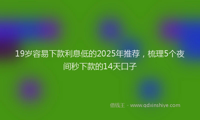 19岁容易下款利息低的2025年推荐，梳理5个夜间秒下款的14天口子
