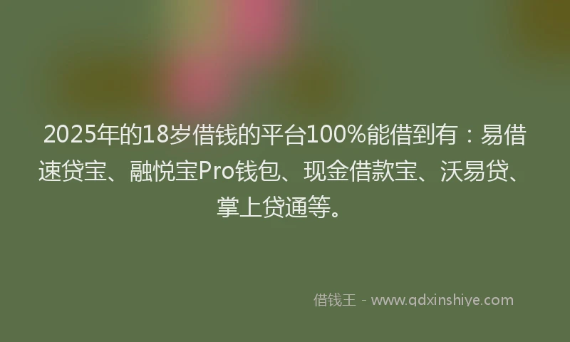 2025年的18岁借钱的平台100%能借到有：易借速贷宝、融悦宝Pro钱包、现金借款宝、沃易贷、掌上贷通等。