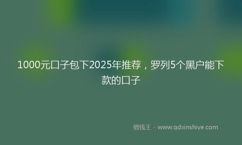 1000元口子包下2025年推荐，罗列5个黑户能下款的口子
