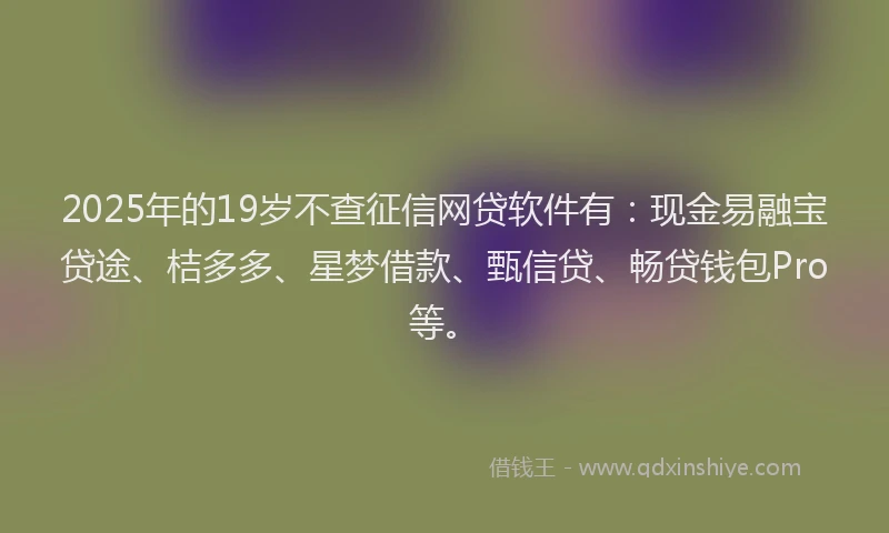 2025年的19岁不查征信网贷软件有：现金易融宝贷途、桔多多、星梦借款、甄信贷、畅贷钱包Pro等。