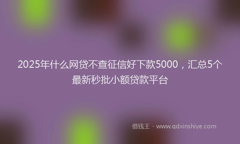 2025年什么网贷不查征信好下款5000，汇总5个最新秒批小额贷款平台
