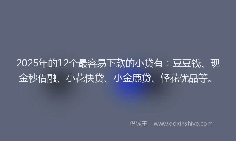 2025年的12个最容易下款的小贷有：豆豆钱、现金秒借融、小花快贷、小金鹿贷、轻花优品等。