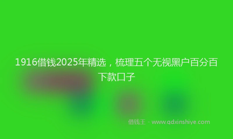 1916借钱2025年精选，梳理五个无视黑户百分百下款口子