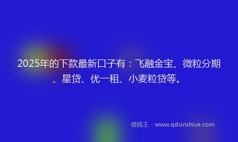 2025年的下款最新口子有：飞融金宝、微粒分期、星贷、优一租、小麦粒贷等。