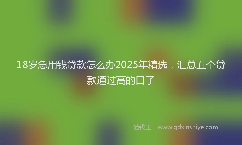 18岁急用钱贷款怎么办2025年精选，汇总五个贷款通过高的口子