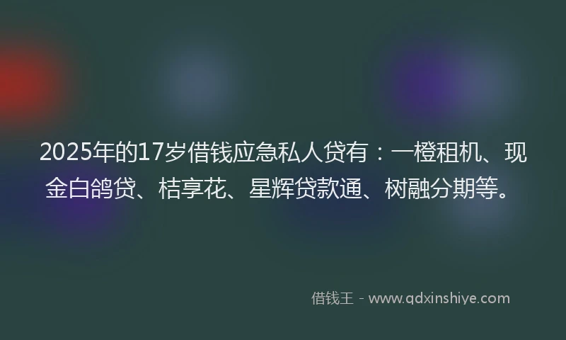 2025年的17岁借钱应急私人贷有：一橙租机、现金白鸽贷、桔享花、星辉贷款通、树融分期等。