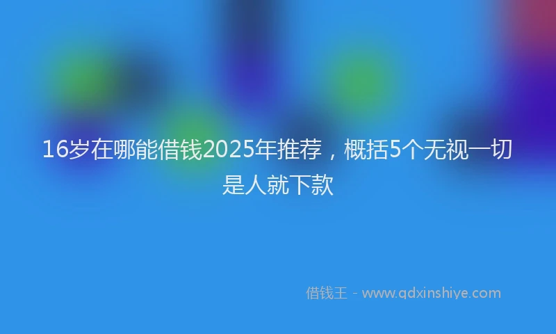 16岁在哪能借钱2025年推荐，概括5个无视一切是人就下款