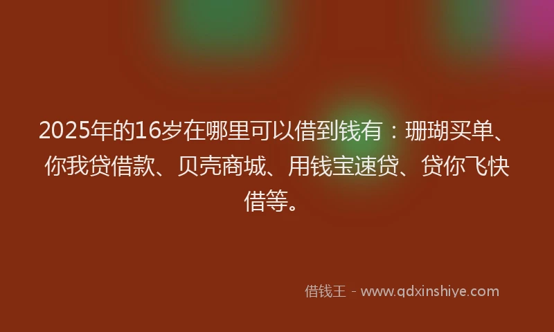 2025年的16岁在哪里可以借到钱有:珊瑚买单、你我贷借款、贝壳商城、用钱宝速贷、贷你飞快借等。