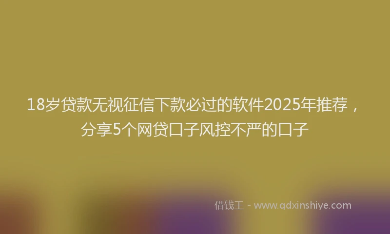 18岁贷款无视征信下款必过的软件2025年推荐，分享5个网贷口子风控不严的口子