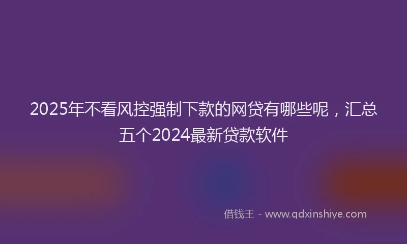 2025年不看风控强制下款的网贷有哪些呢，汇总五个2024最新贷款软件