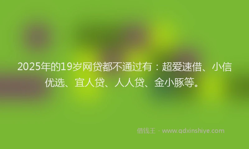 2025年的19岁网贷都不通过有：超爱速借、小信优选、宜人贷、人人贷、金小豚等。