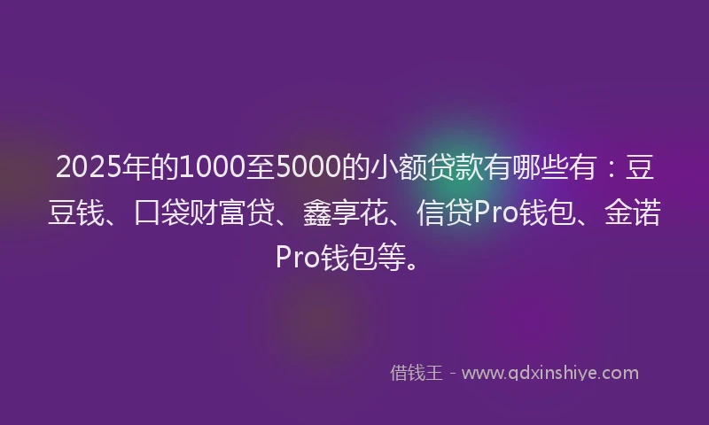 2025年的1000至5000的小额贷款有哪些有：豆豆钱、口袋财富贷、鑫享花、信贷Pro钱包、金诺Pro钱包等。