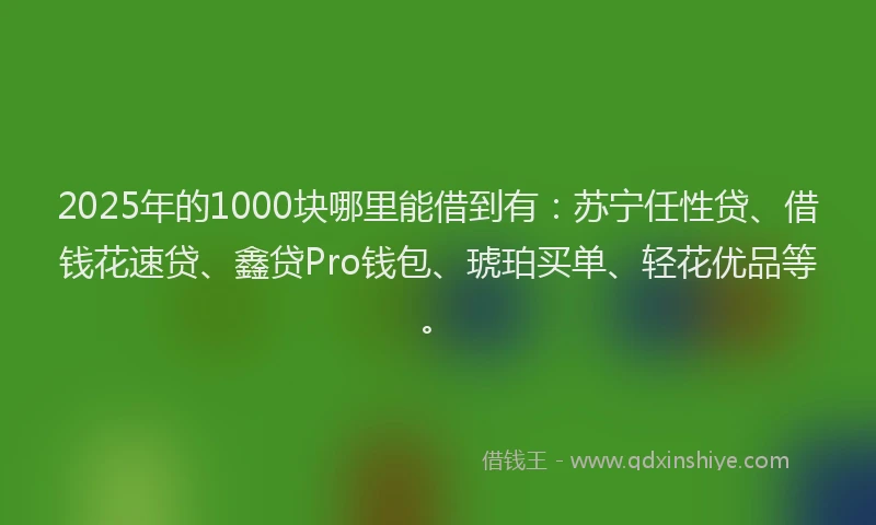 2025年的1000块哪里能借到有：苏宁任性贷、借钱花速贷、鑫贷Pro钱包、琥珀买单、轻花优品等。