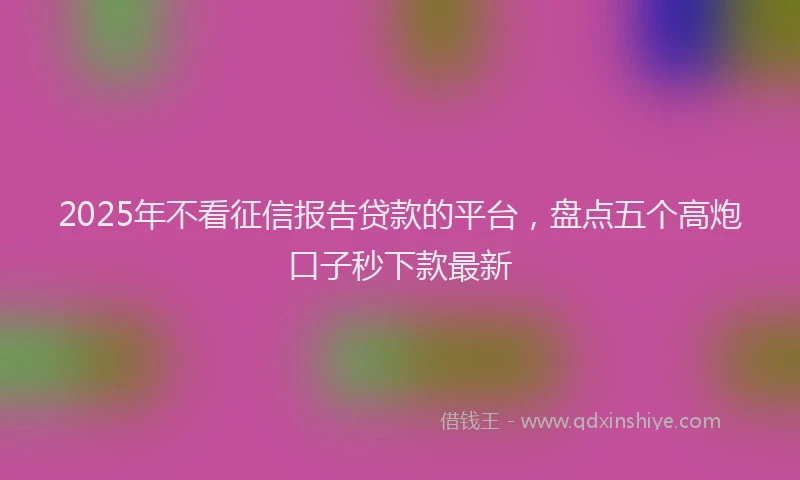 2025年不看征信报告贷款的平台，盘点五个高炮口子秒下款最新