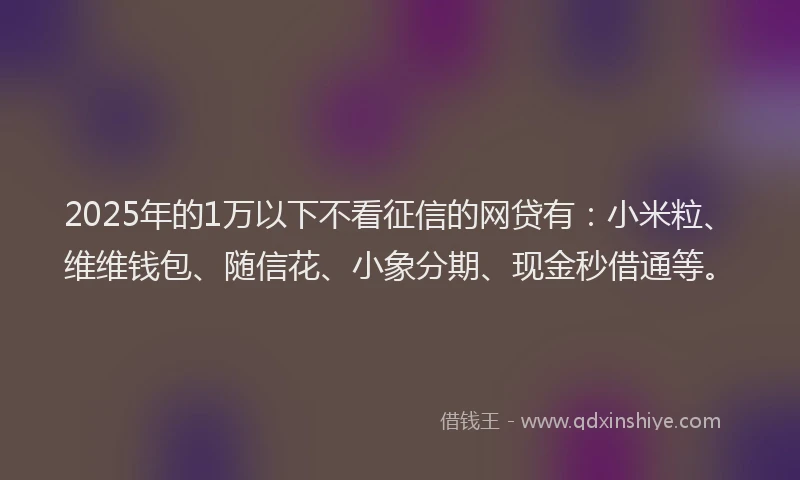 2025年的1万以下不看征信的网贷有：小米粒、维维钱包、随信花、小象分期、现金秒借通等。