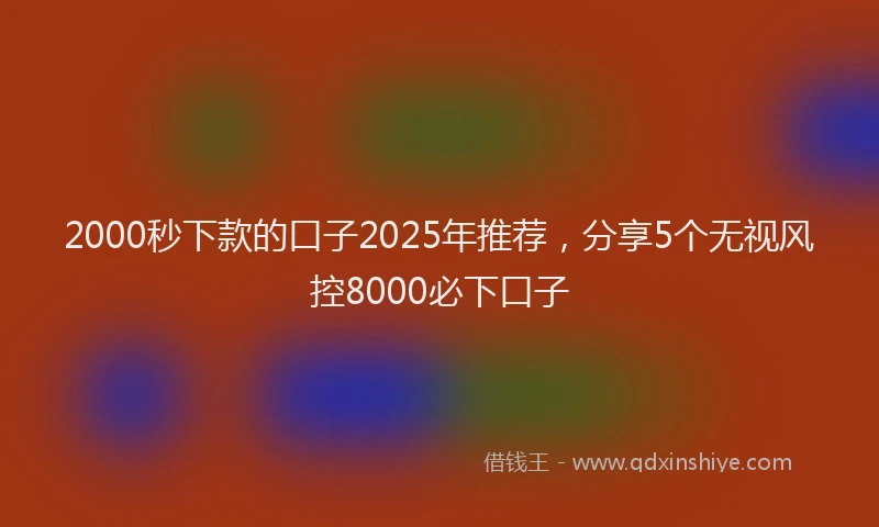 2000秒下款的口子2025年推荐，分享5个无视风控8000必下口子