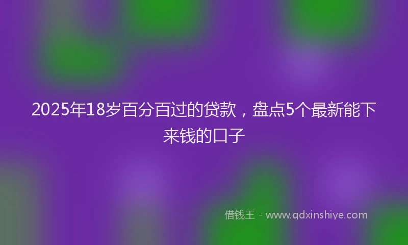 2025年18岁百分百过的贷款，盘点5个最新能下来钱的口子