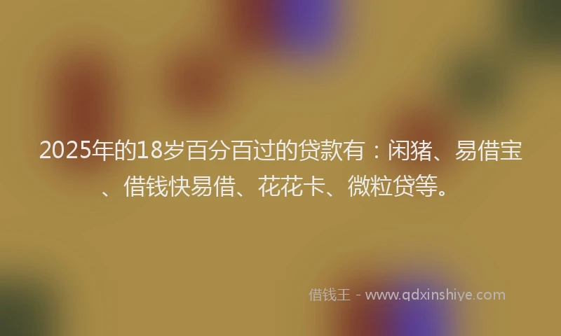 2025年的18岁百分百过的贷款有：闲猪、易借宝、借钱快易借、花花卡、微粒贷等。