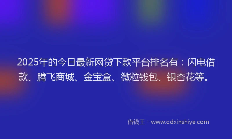2025年的今日最新网贷下款平台排名有：闪电借款、腾飞商城、金宝盒、微粒钱包、银杏花等。