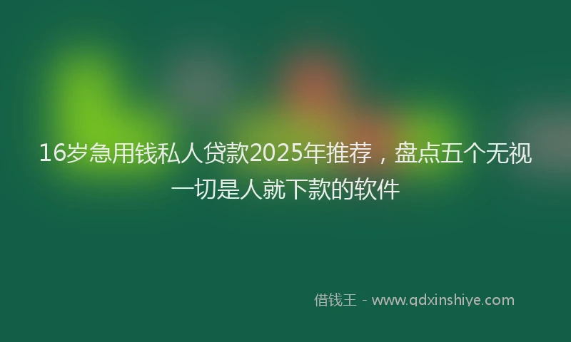 16岁急用钱私人贷款2025年推荐，盘点五个无视一切是人就下款的软件