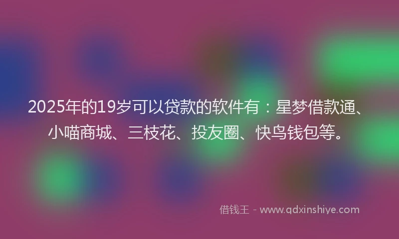 2025年的19岁可以贷款的软件有：星梦借款通、小喵商城、三枝花、投友圈、快鸟钱包等。