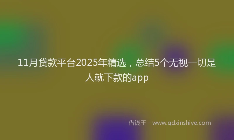 11月贷款平台2025年精选，总结5个无视一切是人就下款的app